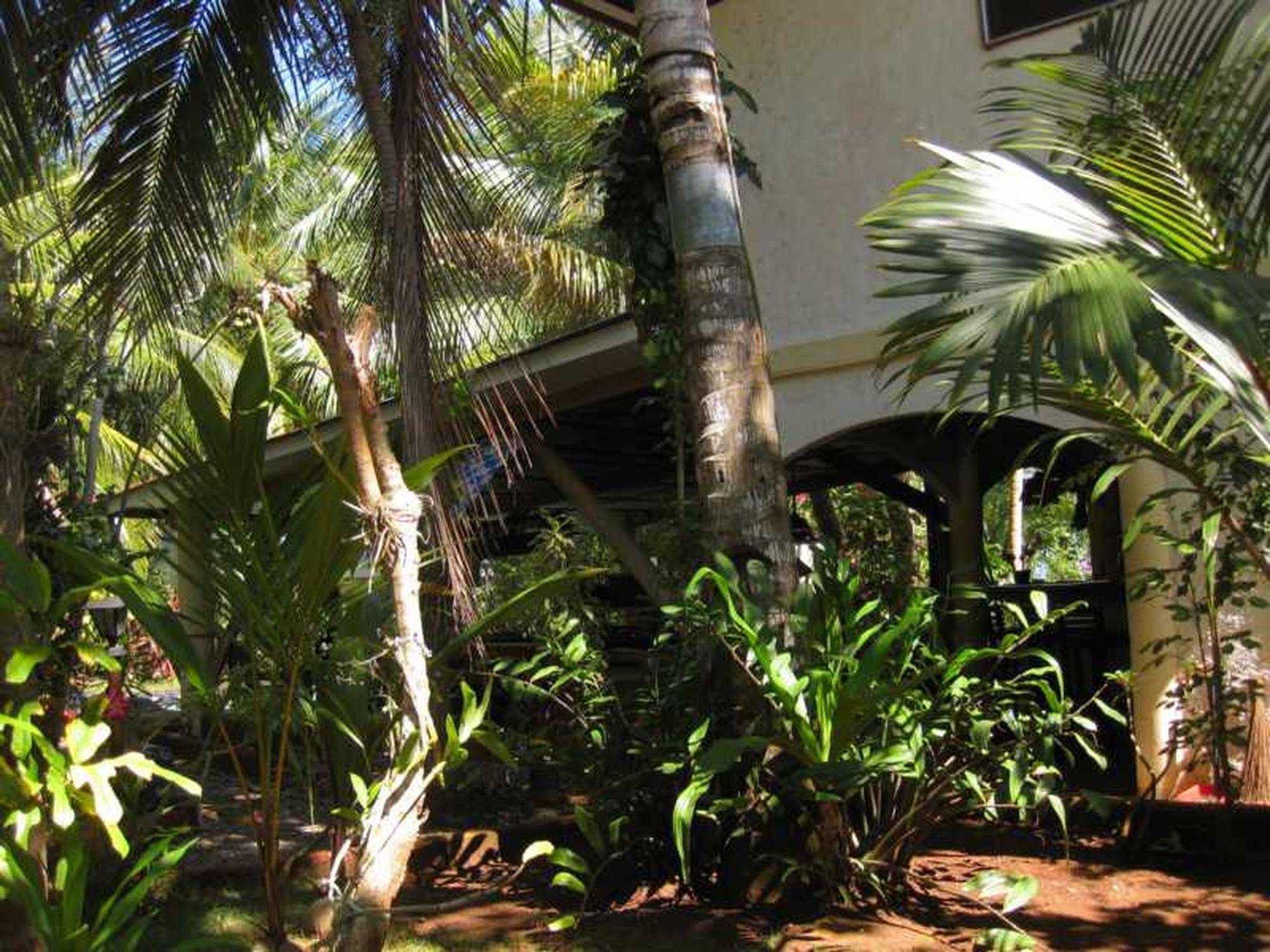 Calypso Resort Panglao Eksteriør bilde
