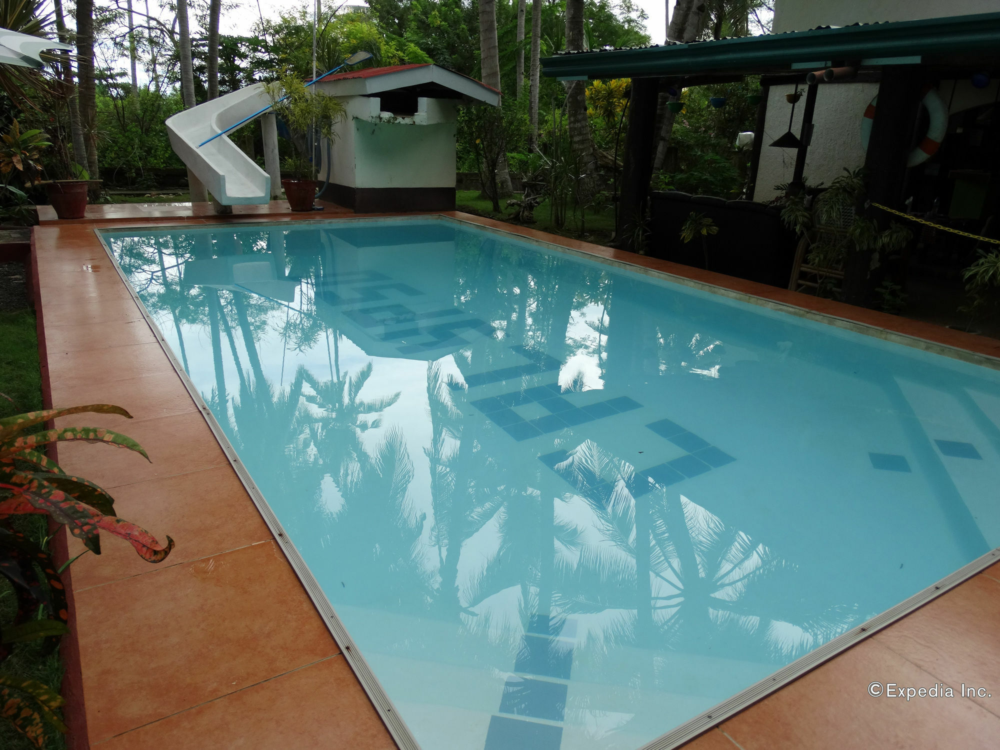 Calypso Resort Panglao Eksteriør bilde
