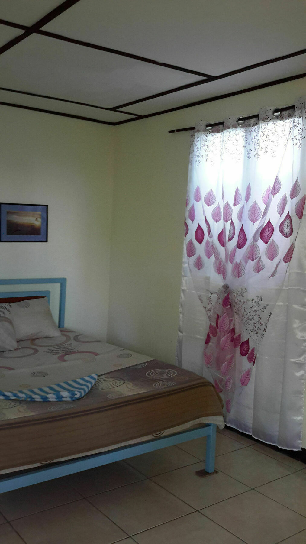 Calypso Resort Panglao Eksteriør bilde